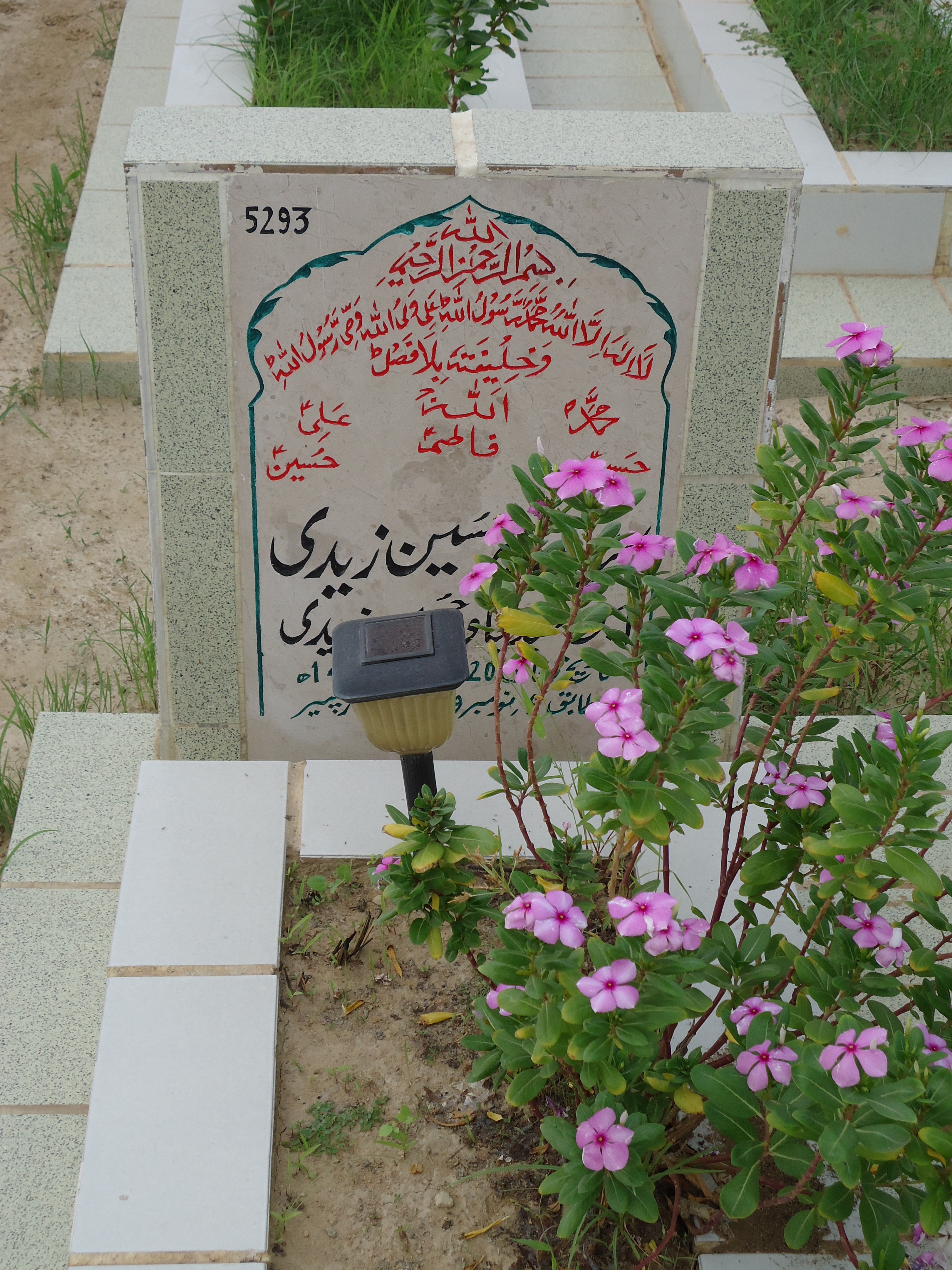 5293 – Syed Tahir Hussain Zaidi